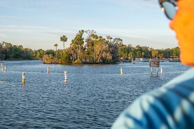 Kings Bay Crystal River Eco Cruise - An In-Depth Look at the Kings Bay Eco Cruise Experience