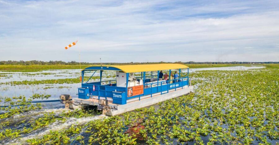 Kissimmee: 1 Hour Florida Everglades Pontoon Boat Tour - The Itinerary and Highlights