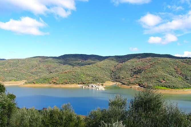 Knossos Palace Lasithi Plateau Villages & Olive Oil Mill - Why This Tour Offers Great Value