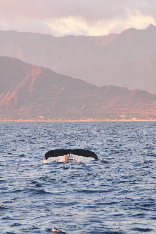 Ko Olina Captain's Sunset + Tasting - The Value and Practicalities