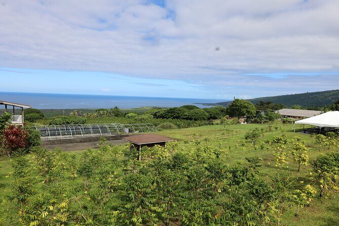 Kona Coffee Farm Tour from Tree to Tasting Room - Practical Details: What You Need to Know