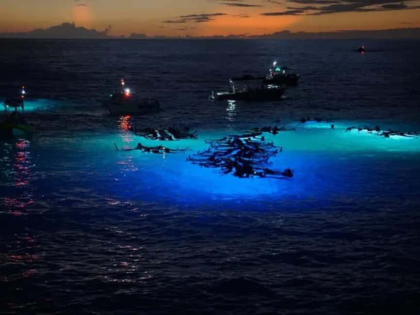 Kona: Manta Ray Night Snorkel Adventure - The True Value of the Experience