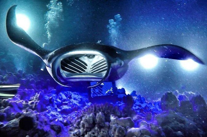 Kona Town Manta Sunset Snorkel - Final Thoughts: Is It Worth It?