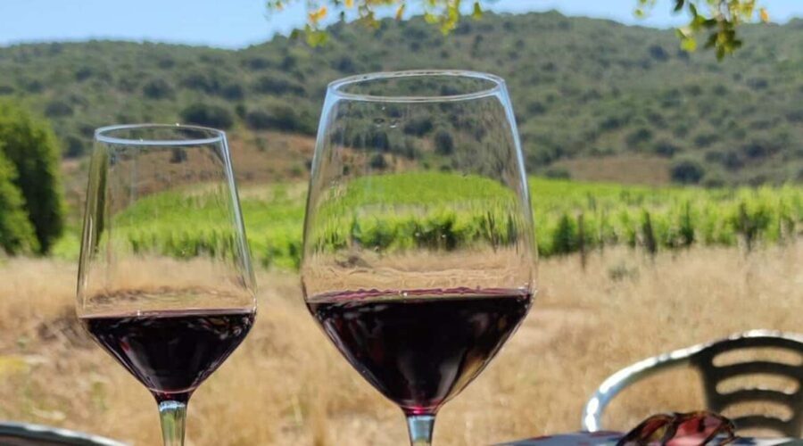 Konavle Private Countryside Experience with Wine & Spirits - Transport, Duration, and Group Size