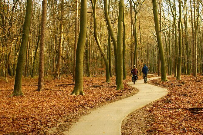 Kröller Müller Museum and Veluwe National Park Private tour - Authentic Feedback from Travelers