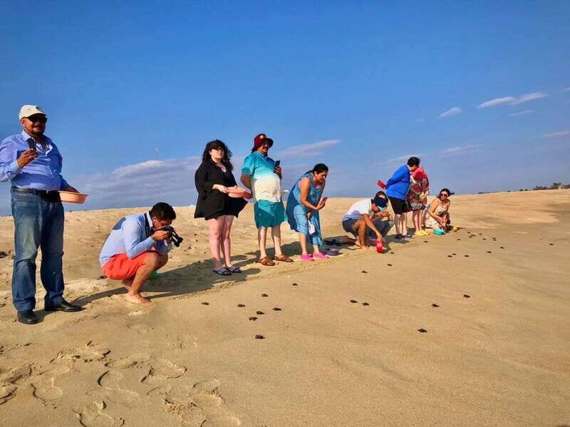 La Crucecita: Magic Lagoon Bioluminescence and Turtles Tour - What’s Included and What You’ll Need to Budget For