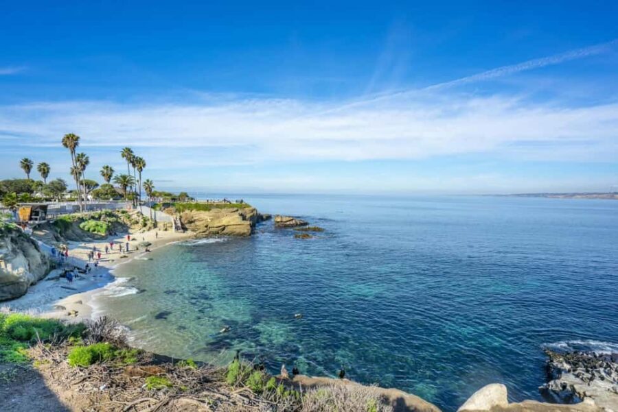 La Jolla: Full-Day Snorkel Gear Rental with Wetsuit Option - The Reality: What Travelers Say