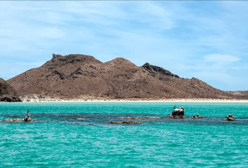 La Paz: Boat ride to Espiritu Santo island and sloop - What You Can Expect from the Tour