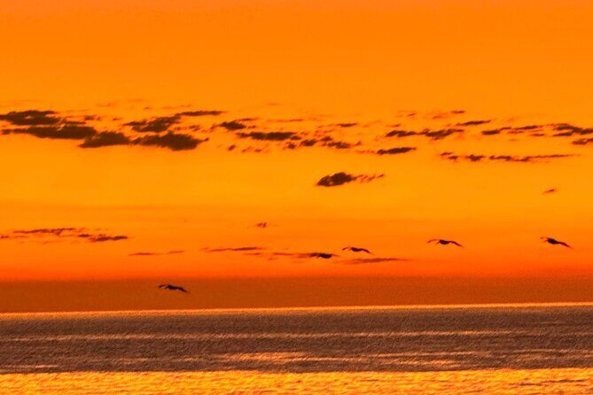 La Paz Mexico Sunset Cruise with Local Guides : small group - What the Reviewers Say