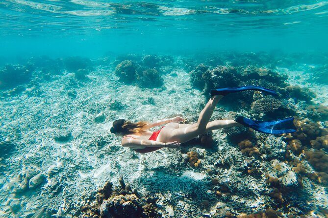 La Paz World class Snorkeling in Balandras Hidden Beaches - Authentic Experiences and Honest Feedback