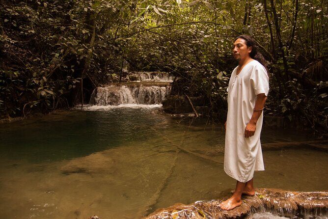 Lacandon Jungle Adventure and Bonampak Archaelogical Site from Palenque - The Experience of the Jungle and Ruins