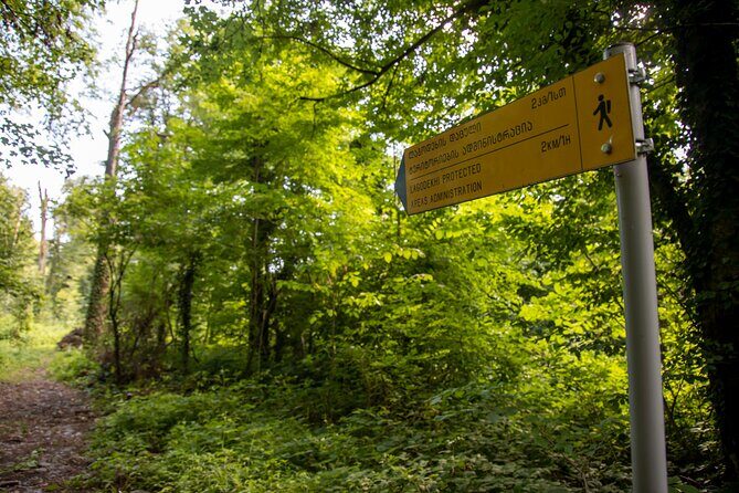 Lagodekhi - A day hiking from Tbilisi - Authentic and Enthusiastic Reviews