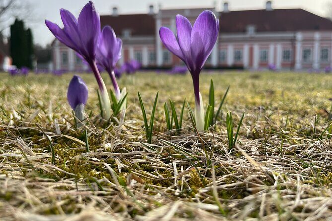 Lahemaa national park in Estonia - Kiiu Vassal Stronghold: Europe’s Smallest Fortification
