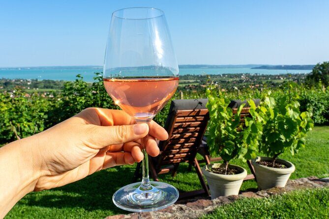 Lake Balaton private wine tasting and sightseeing from Budapest - Transportation and Comfort