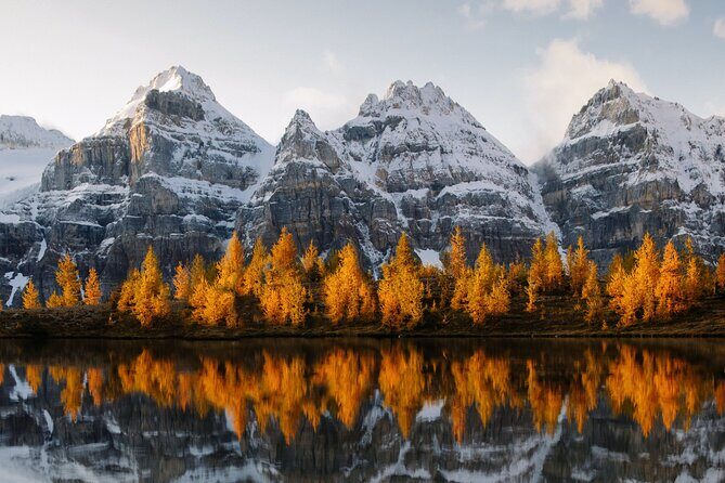 Lake Louise, Emerald Lake and Johnston Canyon Tour - Additional Considerations