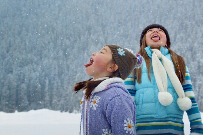 Lake Louise Johnston Canyon Peyto Lake Icefields Parkway Daytrip - Authentic Experiences and What Travelers Say