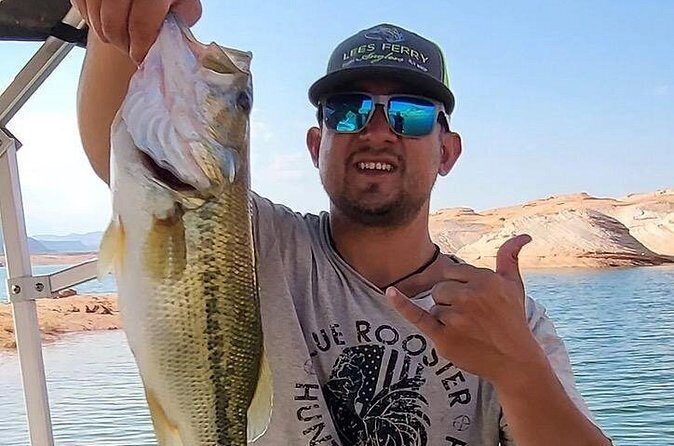 Lake Powell Fishing Charters and Water Fun in Arizona - Pricing and Value Analysis