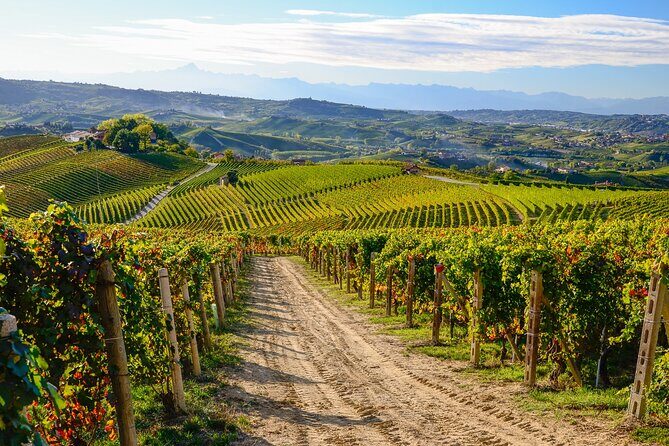"Langhe del Barolo" Private E-bike Tour - Asphalt and Dirt Road - What We Love About This Tour