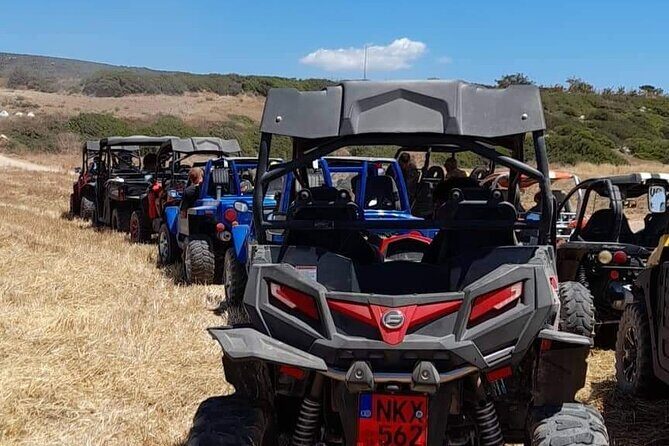 Lara Bay & Adonis Falls Quad & Buggy Tour - What Makes This Tour Stand Out  