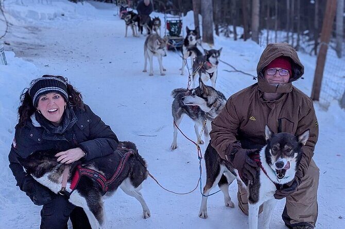 Large Groups for Mushing Activity - What to Expect: A Day of Mushing and More