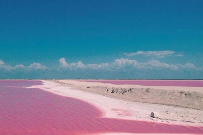 Las Coloradas Amazing Pink Lake & Rio Lagartos from Tulum - The Excursion Itinerary: Breaking Down the Highlights