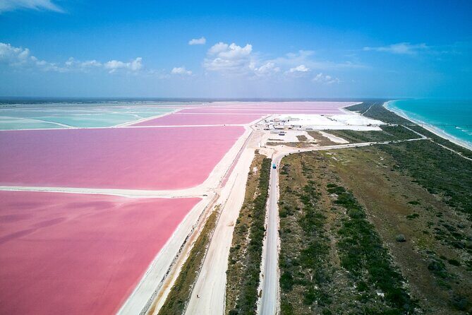 Las Coloradas Pink Lake & Rio Lagartos Guided Tour - Logistics & Practicalities