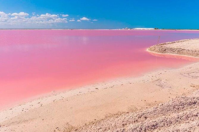 Las Coloradas & Rio Lagartos, Beautiful Eco Adventure from Tulum City - How Does It Stand Up to Expectations?