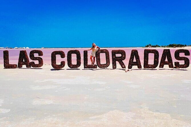 Las Coloradas Tour to Pink Lakes and Wildlife Wonders - Stop 1: Las Coloradas—The Pink Lakes