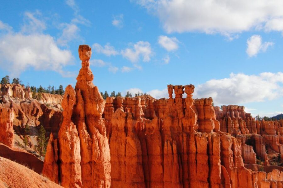 Las Vegas: Bryce and Zion National Parks Tour with Lunch - Final Thoughts: Who Will Love This Tour?