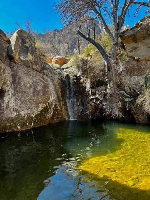 Las Vegas: Family Friendly Guided Hike to Emerald Falls - What’s Included and What You Should Bring