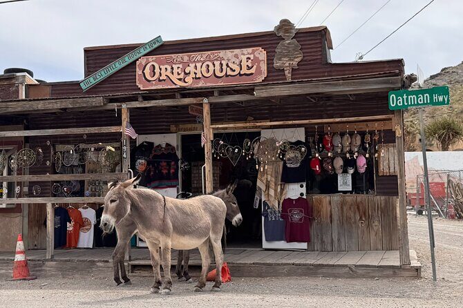 Las Vegas Ghost Town Tour and Historic Route 66 - Practical Tips for Booking and Enjoying the Tour