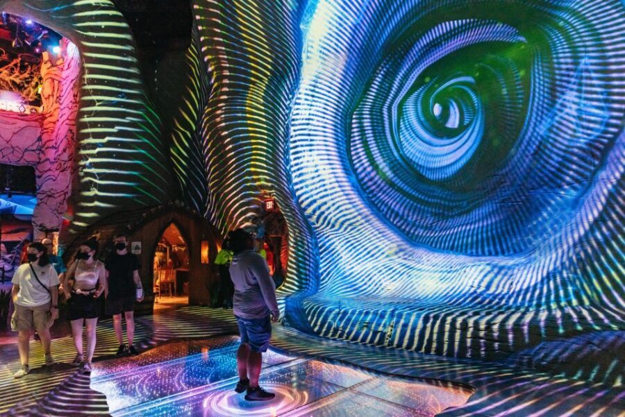 Las Vegas: Meow Wolf Omega Mart Ticket - The Practicalities: How It Works and What You Should Know