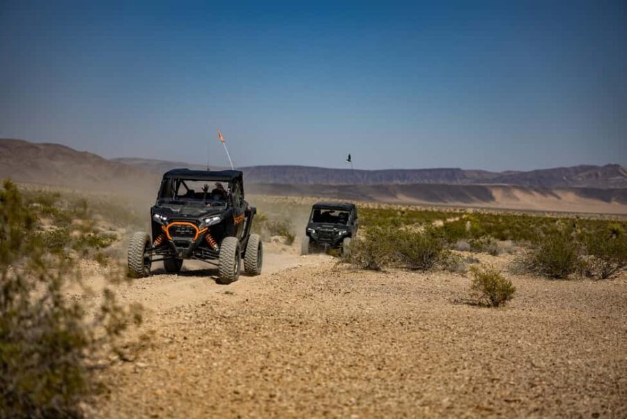 Las Vegas Mojave Off Road Adventure |Guided Tour-Let's Ride! - Who Will Love This Tour?