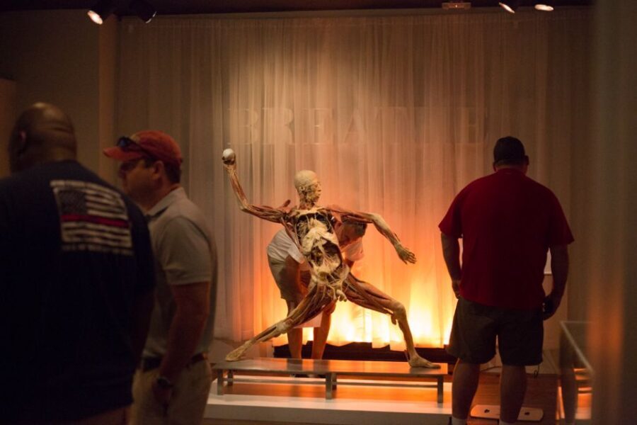 Las Vegas: REAL BODIES at Horseshoe Las Vegas Entry Ticket - Who Will Love This Experience?