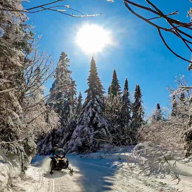 Laurentians: Snowmobile Guided Tour - Possible Drawbacks and Considerations