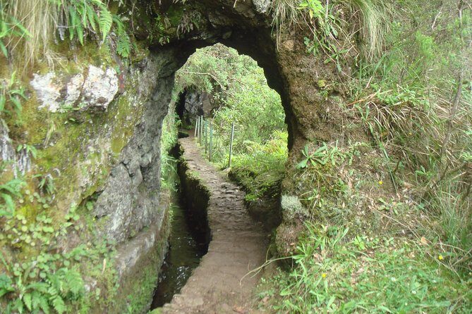 Laurissilva Forest Walk - The Sum Up