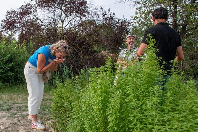 Lavender Harvesting and Distillation Workshop in Bellegarde - The Sum Up: A Real Taste of Provençal Life