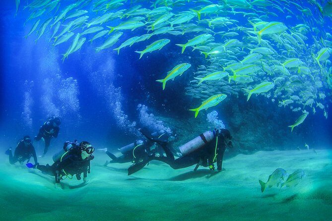Learn to Scuba Dive in Cabo San Lucas with PADI - A Day in the Life of the Tour