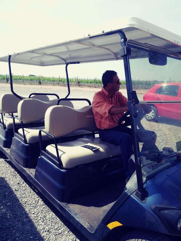 Leon: Dolores Hidalgo Viñedo Tres Raíces Wine Tour - The Vineyard and Underground Cellar Experience