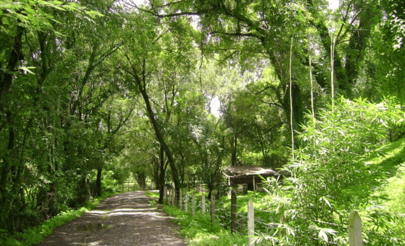 Leon: Jalpa in Its Natural State Tour with Lunch - FAQs