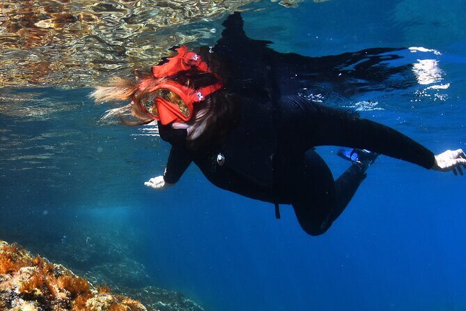 L'Estartit: Snorkeling in the Medes Islands - What Makes the Medes Islands Special