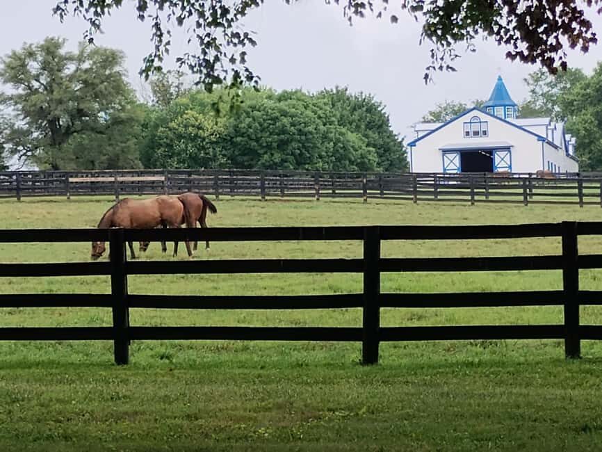 Lexington: Thoroughbred Horse Farm Tour and Scenic Bluegrass - What Sets This Tour Apart