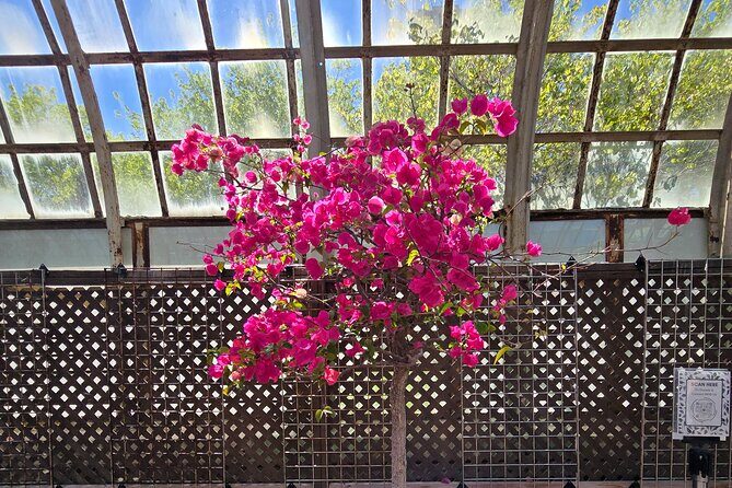 Lincoln Park Nature Museum and Zoo Public Walking Tour - Practical Details & Considerations