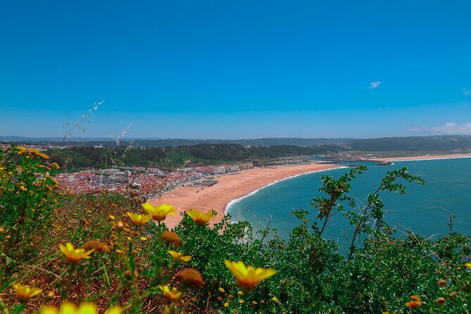 Lisbon: Sintra, Pena Palace, Nazaré & Fátima Small Group Tour - Transportation and Group Size: Why It Matters