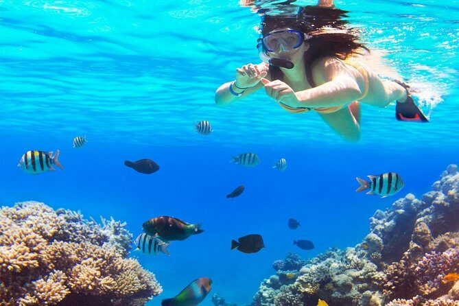 Live this unique snorkeling experience. El Cielo in Cozumel a magical tour. - What We Love & What to Watch Out For