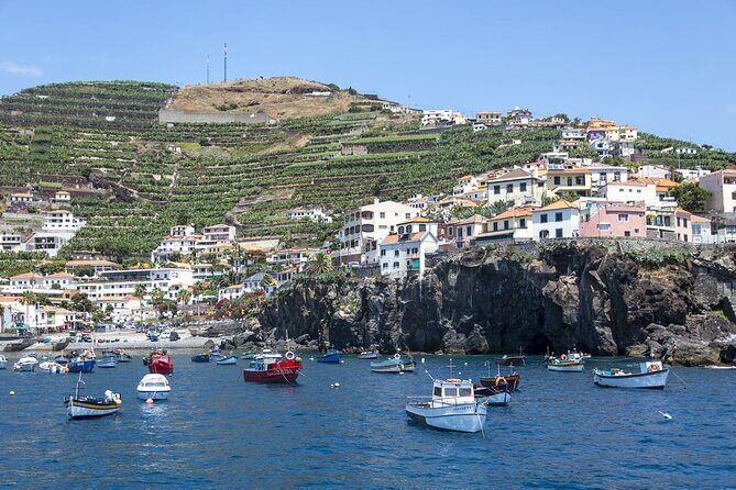 Living Sea Boat Trip in Madeira from Funchal - Practical Details: What to Expect