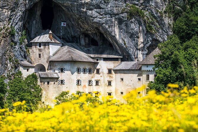 Ljubljana: Postojna cave & Predjama castle small group tour - Who Will Love This Tour?