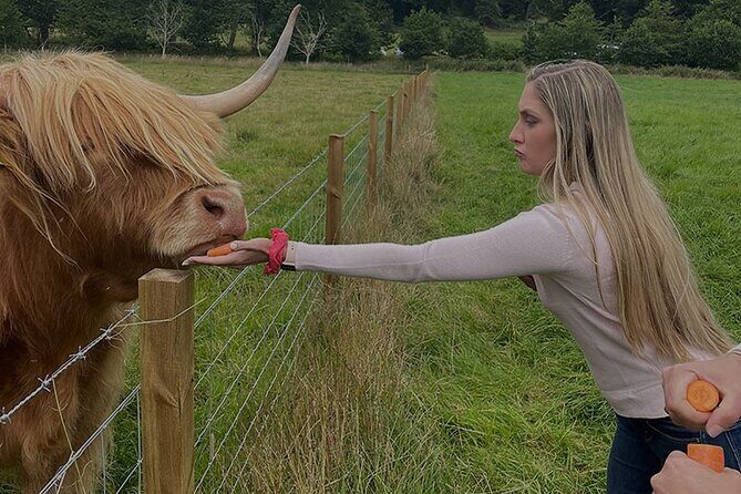 Loch Ness and Outlander Sites Tour from Inverness - The Sum Up: Who Will Love This Tour?