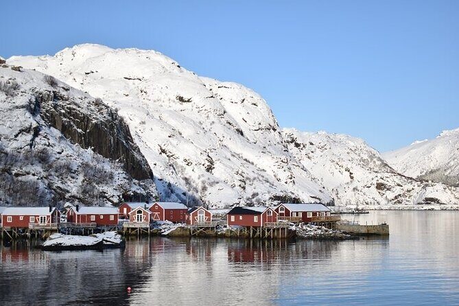 Lofoten VIP PRIVATE tour from Svolvaer - Who Should Consider This Tour?