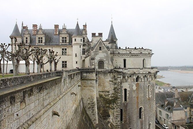 Loire Castles with Wine Tasting Private trip from Paris - The Charm of Amboise Town: A Perfect Spot for Lunch and Leisure